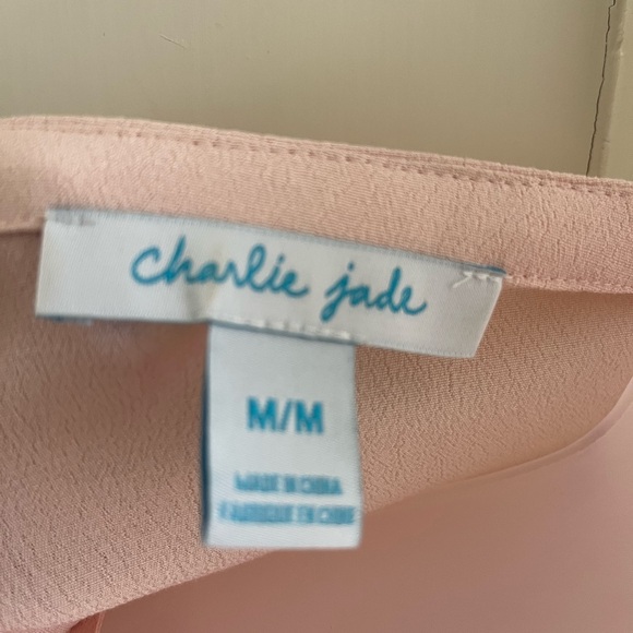 Charlie Jade Light Pink Embroidered sheath dress - Picture 4 of 7